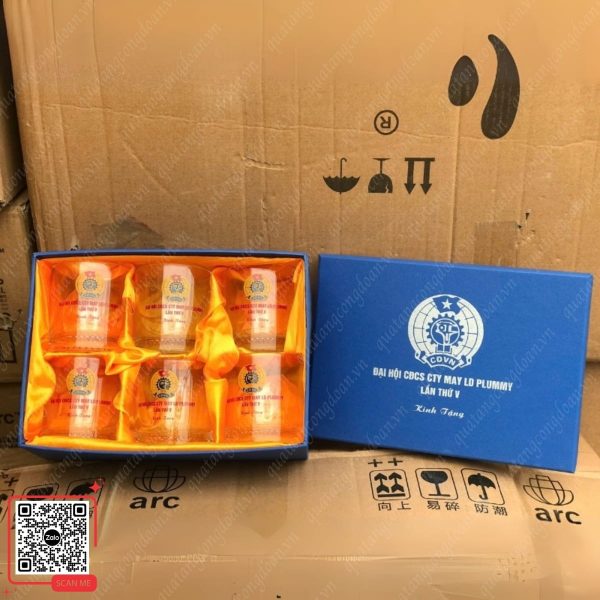 Bộ Cốc Thủy Tinh Quà Tặng Đại Hội CĐCS Công Ty May LD Plummy 5 Cốc thủy tinh in logo Plummy quà tặng đại hội công đoàn