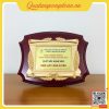 Bảng Vinh Danh Đơn Vị Xuất Sắc Điện Lực Long Xuyên 2 Bảng vinh danh gỗ đồng đơn vị xuất sắc Điện lực Long Xuyên thiết kế trang trọng
